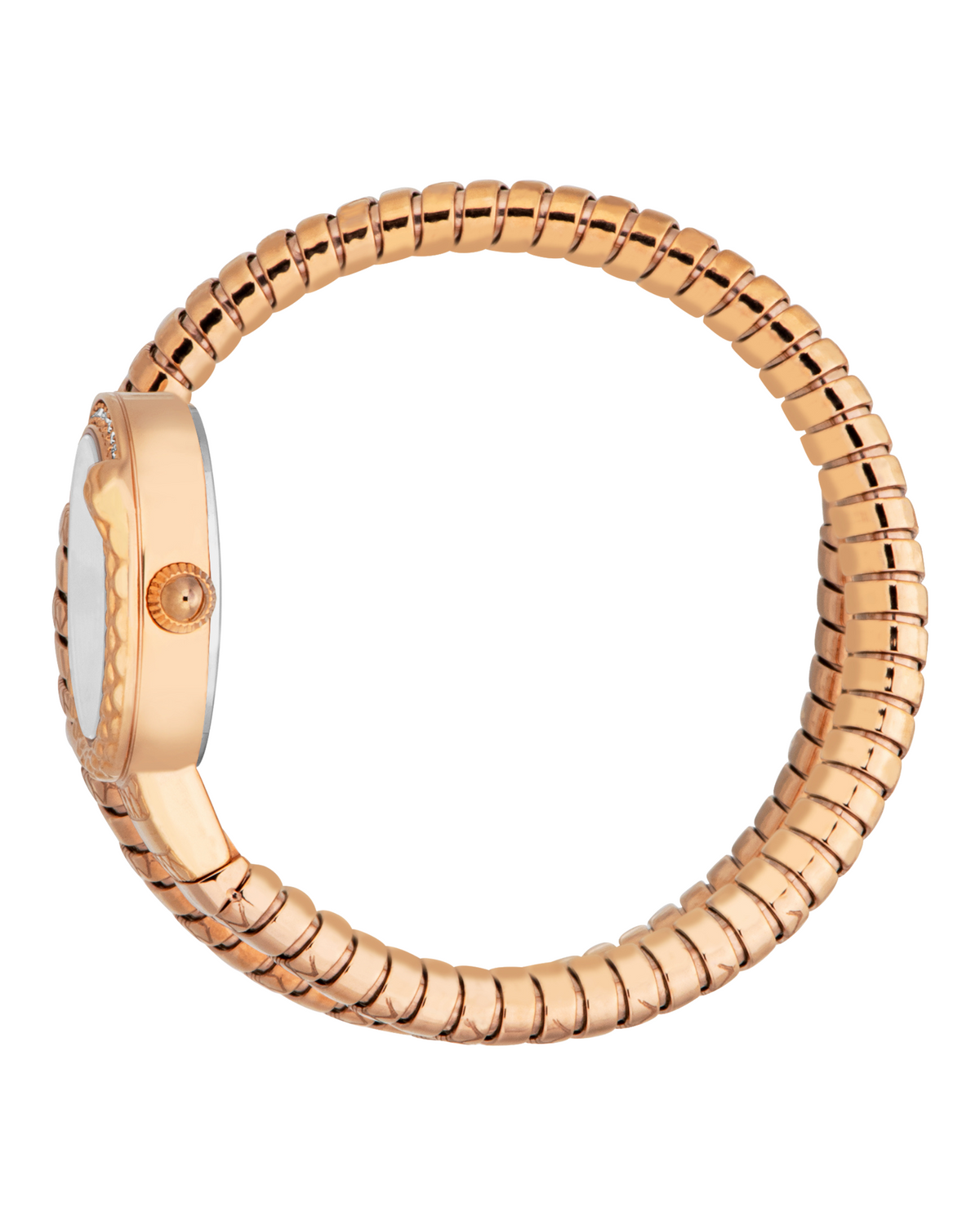 Cerchio Snake Female Watch JC1L301M0045