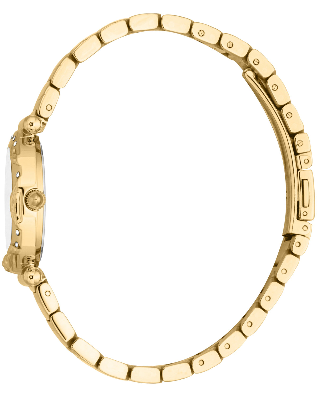 Stella Female Watch JC1L363M0045