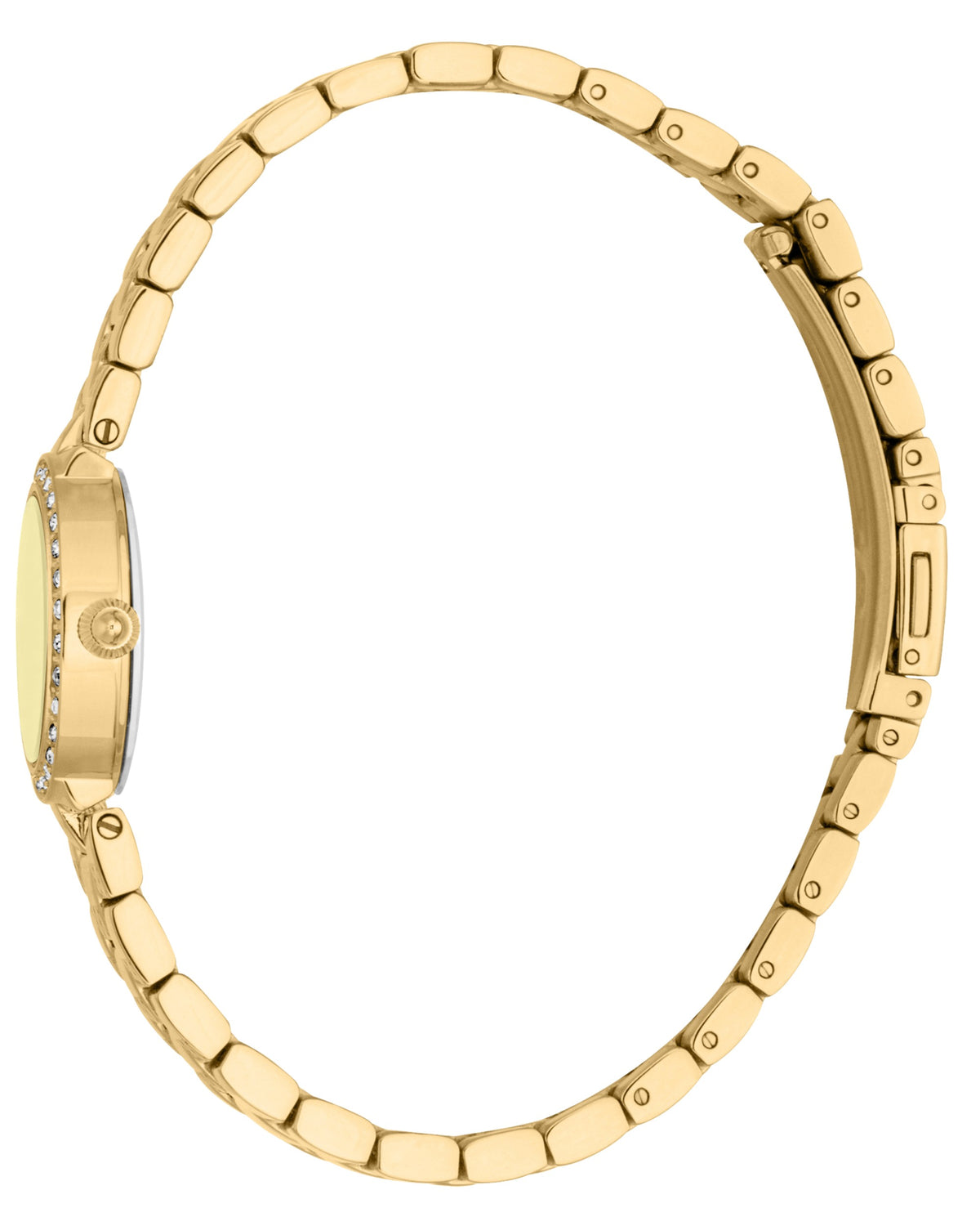 Serenita Female Watch JC1L362M0055