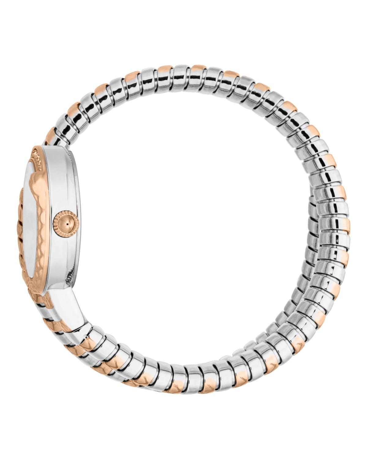 Cerchio Snake Female Watch JC1L301M0075