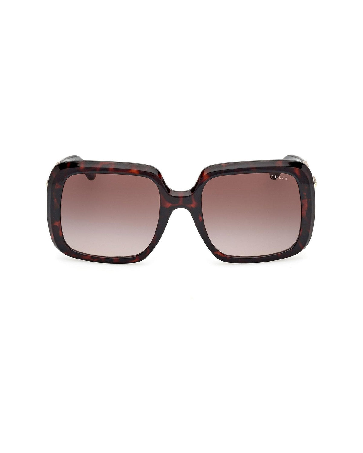 Female Sunglasses GS00161-52F